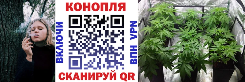 МАРИХУАНА план  Тверь 